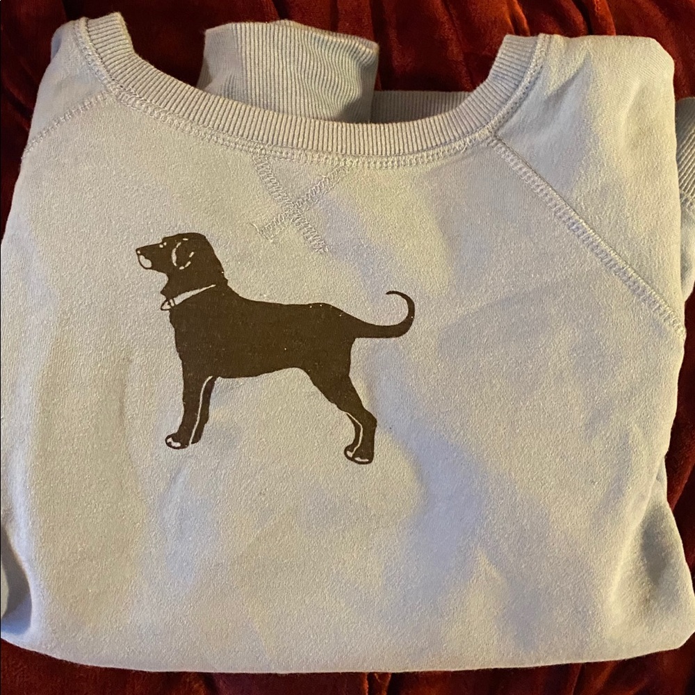 Black Dog Sweatshirt